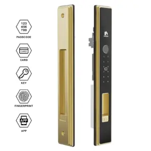 02T-MM 白底图 金3 Winfree Smart Tuya Bluetooth Slim Sliding Door Smart Lock
