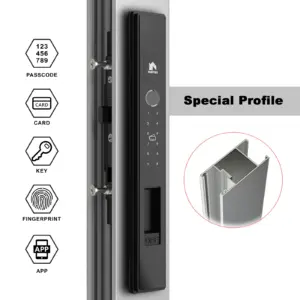 02t主图配置黑色 WINFREE Smart Slim Sliding Aluminium Profile Door Tuya Bluetooth Digital Lock
