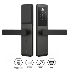 Security Door Smart TTHotel Lock Card and Password Access Apartment Loft Hotel Lock