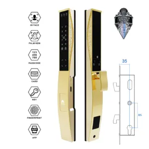 WINFREE Smart Automatic Tuya Wifi 3D face Sliding Door Smart Lock