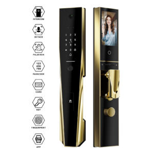 Winfree Tuya Wifi 3D face Automatic Intercom Smart Main Door Lock