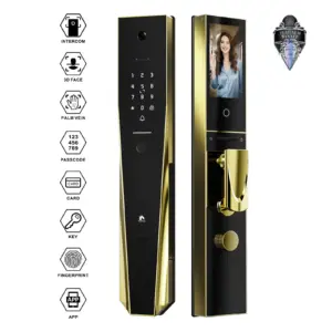 Winfree Tuya Wifi 3D face Automatic Intercom Smart Main Door Lock